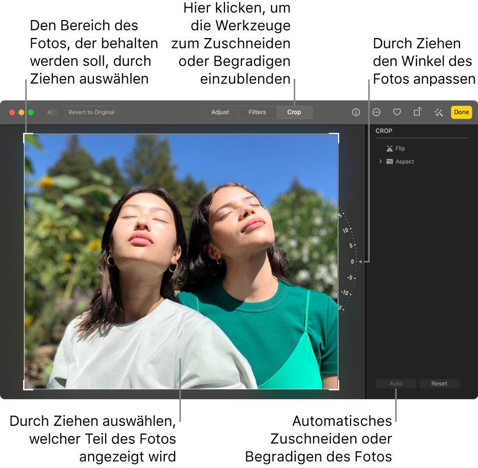 Ein Foto in der Bearbeitungsansicht mit dem ausgewählten Werkzeug „Zuschneiden“ in der Symbolleiste, einem Auswahlrahmen um das Foto, einem Rad rechts neben dem Foto und der Taste „Autom.“ unten rechts.