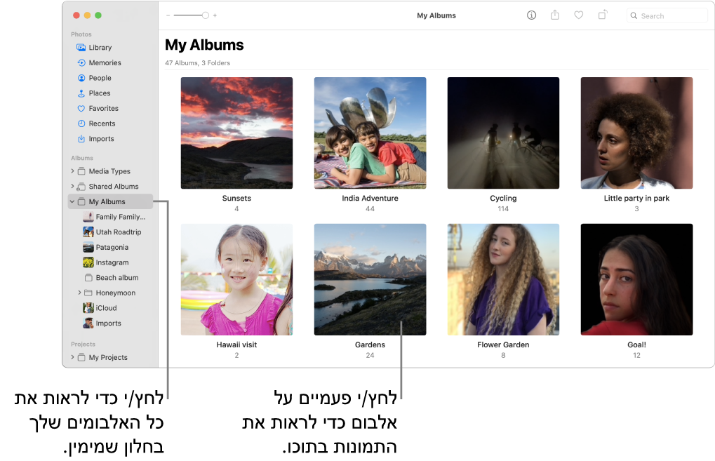 החלון ״תמונות״ כשאפשרות ״האלבומים שלי״ מסומנת בסרגל הצד, והאלבומים שיצרת מוצגים בחלון הימני.