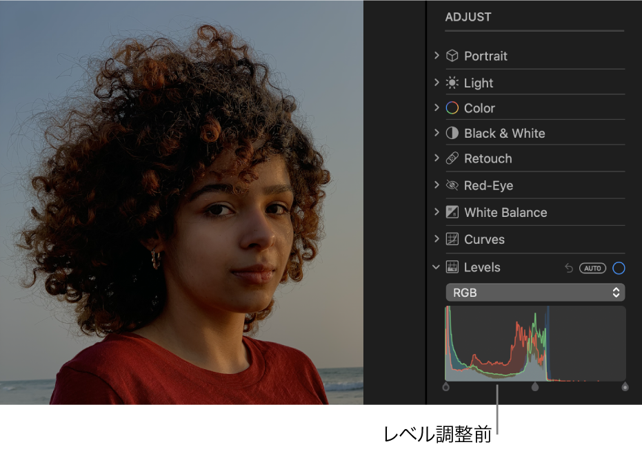 Macの 写真 で写真にレベル調整を適用する Apple サポート
