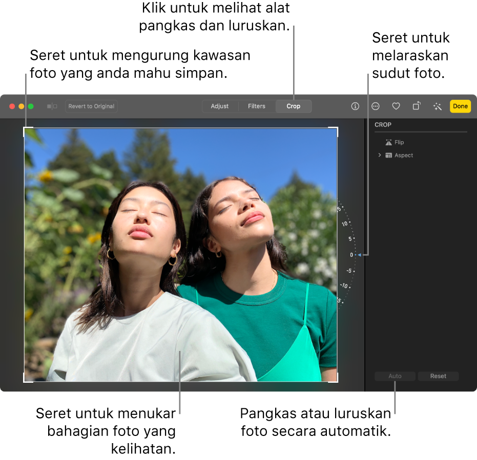 Foto dalam paparan pengeditan, dengan Pangkas dipilih dalam bar alat, segi empat tepat pilihan di sekeliling foto, roda condong di bahagian kanan foto dan butang Auto di bahagian kanan bawah.