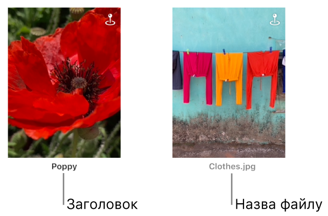 Дві фотографії, під однією — назва, під іншою — назва файлу.
