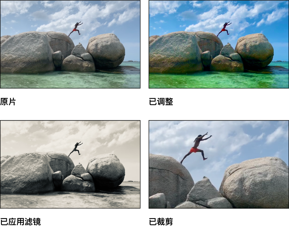 视频的四个版本:原始视频、应用了调整的版本、应用了滤镜的版本以及经过裁剪以创建特写镜头的版本。