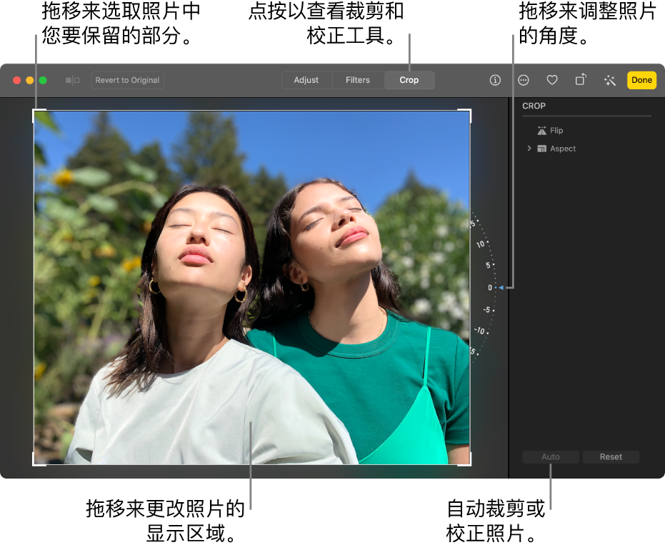 编辑视图中的照片,其中已选择工具栏中的“裁剪”;照片周围是选择矩形,照片右侧是倾斜轮,右下方是“自动”按钮。
