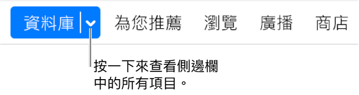 導覽列中的「資料庫」按鈕顯示快顯功能表,隱藏側邊欄時按一下即可存取所有側邊欄項目。