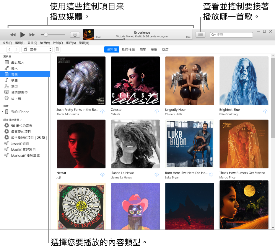 iTunes 資料庫主視窗:在導覽器中,選擇要播放的媒體類型(例如「音樂」)。使用最上方橫幅中的控制項目來播放媒體,以及使用右側的「待播清單」快顯功能表來以不同方式檢視您的資料庫。