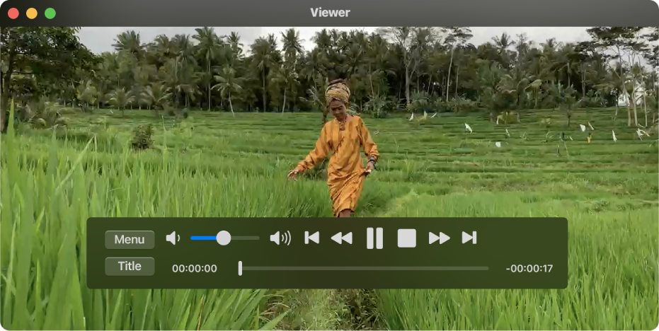 نافذة DVD Player مع تشغيل فيلم DVD.