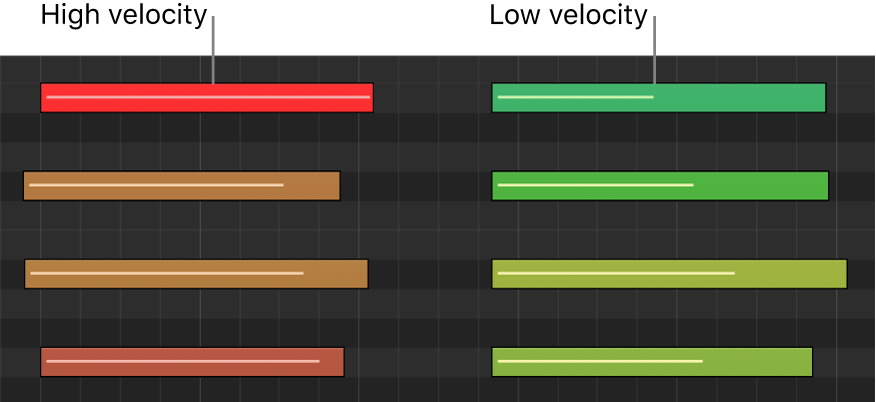Figure. Different vote velocities indicated by colors in Piano Roll Editor.