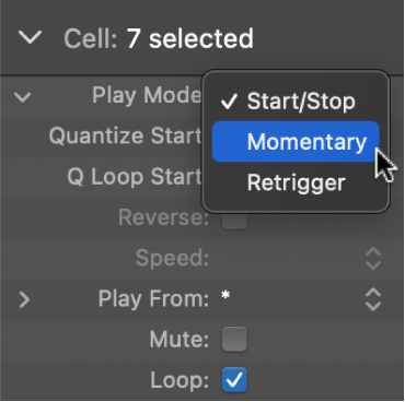 Figure. Play Mode setting in the Cell inspector.