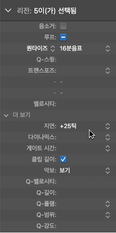 그림. 리전 인스펙터의 지연 파라미터