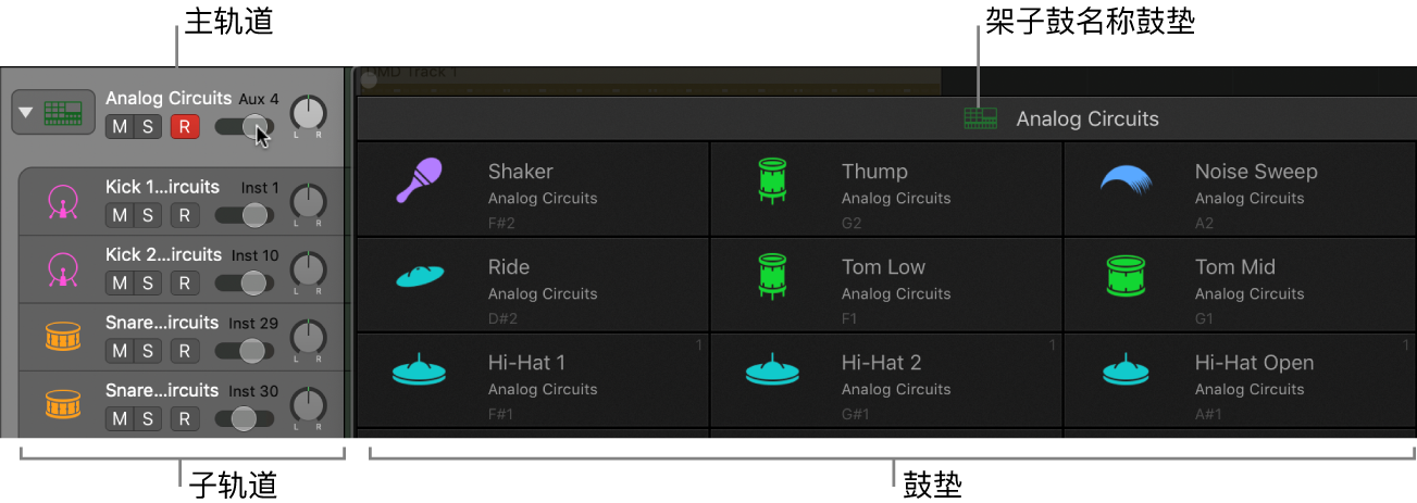 图。Drum Machine Designer 显示在对应的主轨道和子轨道旁边。