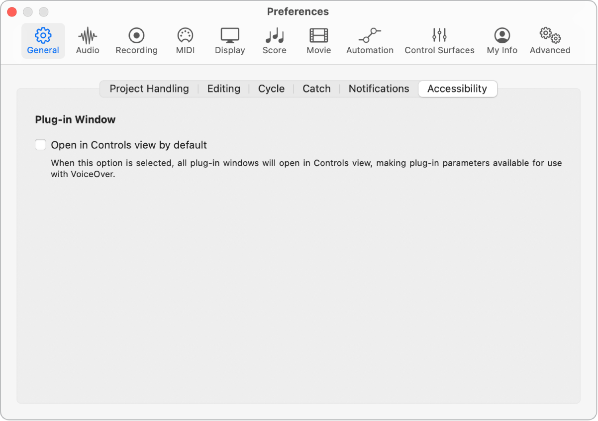 图。“辅助功能”偏好设置。