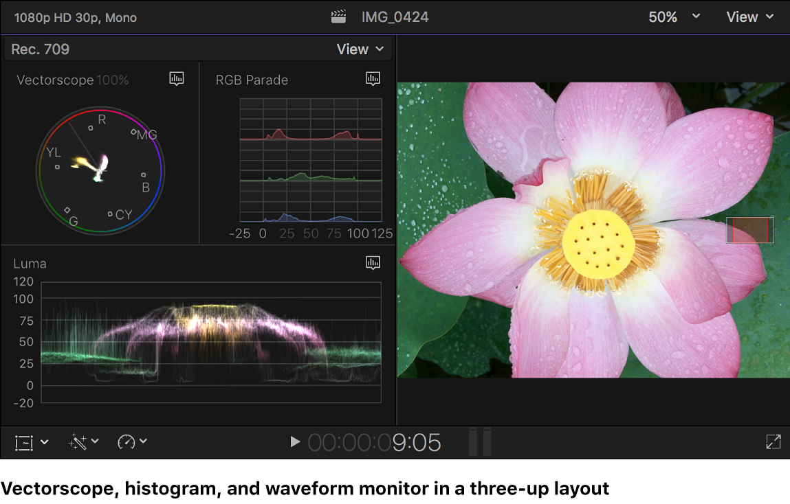 The vectorscope, the RGB Parade histogram, and the Luma waveform monitor shown to the left of the viewer