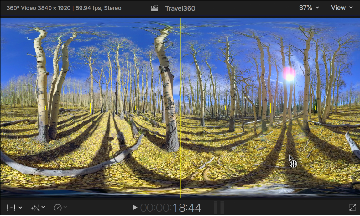 Visualiseur montrant les guides Horizon jaunes sur un plan vidéo 360°