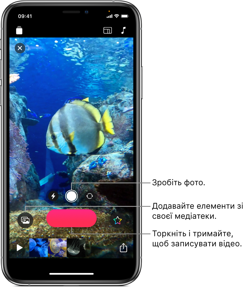Зображення відео в оглядачі, під яким показано елементи керування камерою, кнопку Запису й мініатюри кліпів у поточному проєкті.