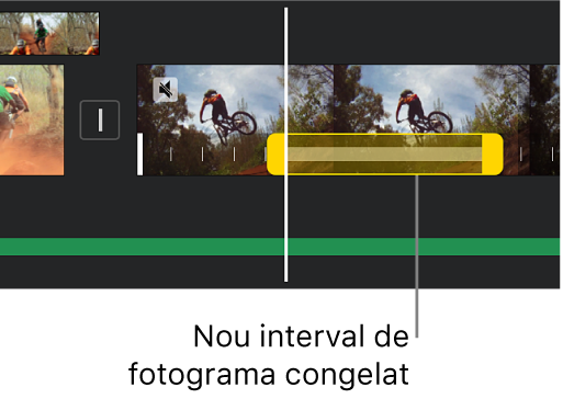 Un fotograma congelat amb tiradors d’interval grocs a la part inferior d’un clip de vídeo a la línia de temps, amb l’inici del fotograma congelat a la posició del cursor de reproducció.