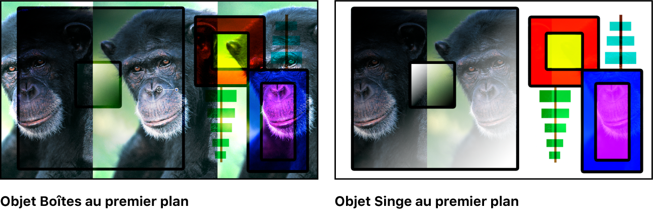 Canevas affichant les boîtes et le singe fusionnés à l’aide du mode Superposition