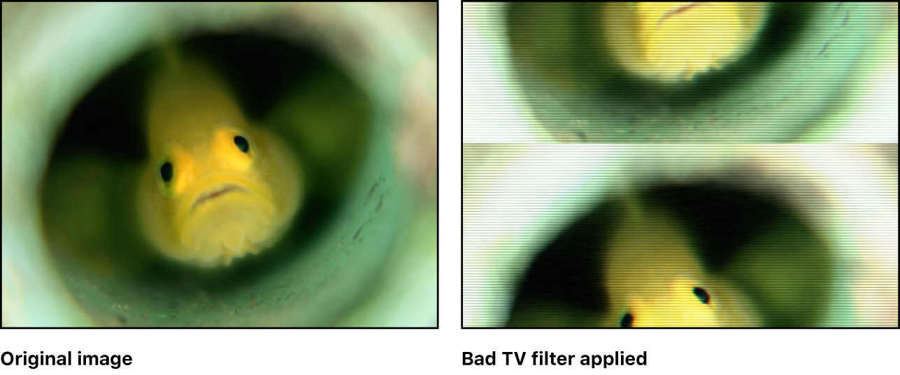 「画質の悪いテレビ」フィルタの効果を示すキャンバス