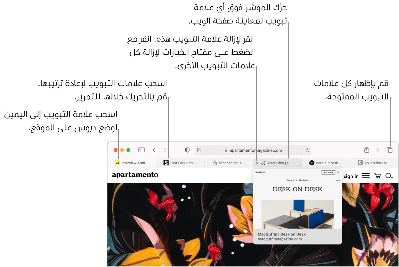نافذة Safari تحتوي على عدة علامات تبويب مفتوحة، مع مؤشر فوق علامة تبويب يعرض معاينة لصفحة الويب.