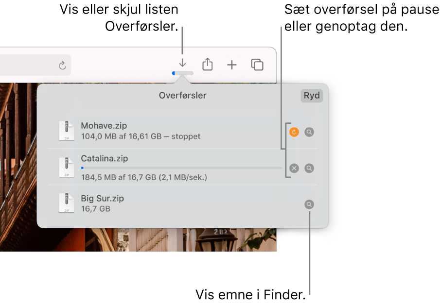Knappen Overførsler på værktøjslinjen og derunder listen med overførsler.