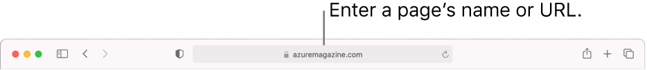 The Smart Search field, located in the middle of the Safari toolbar.
