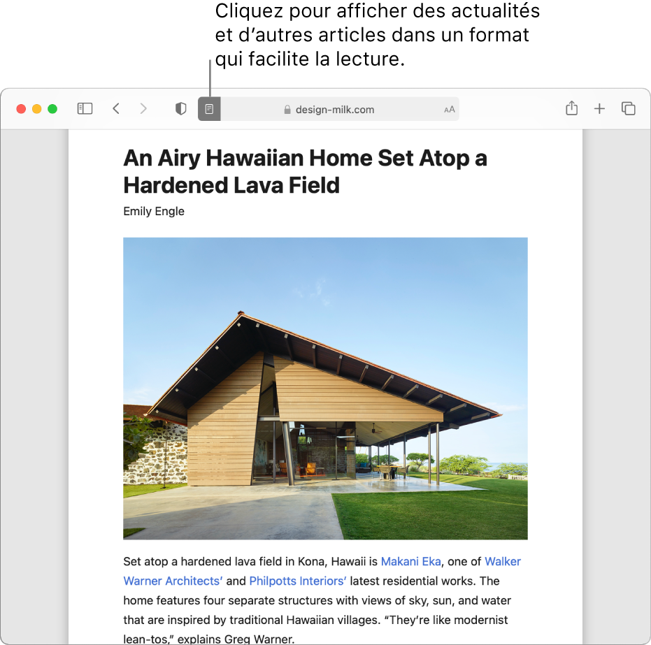 Un article dans Lecteur, toutes les publicités et fonctions de navigation sont enlevées.