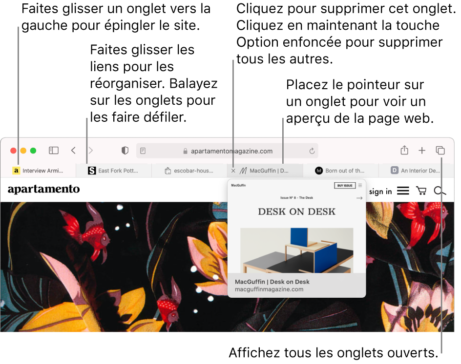 La fenêtre Safari comprenant plusieurs onglets ouverts, avec le pointeur placé sur un onglet présentant un aperçu de la page web.