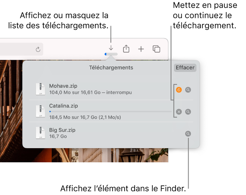 Le bouton Téléchargements de la barre d’outils, avec la liste de téléchargements sous celui-ci.