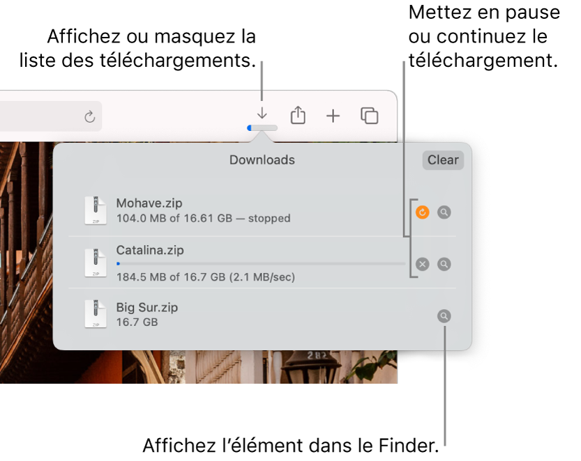 Le bouton Téléchargements de la barre d’outils, avec la liste de téléchargements sous celui-ci.