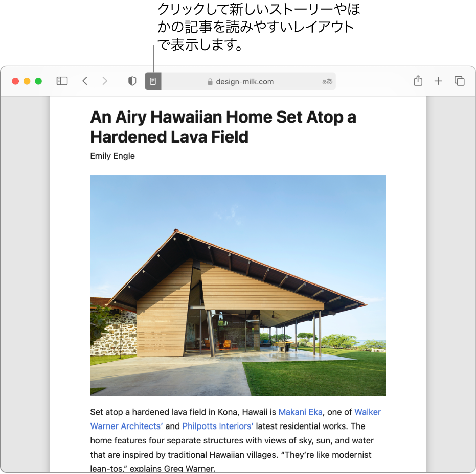 すべての広告とナビゲーションが非表示にされた「リーダー」の記事。