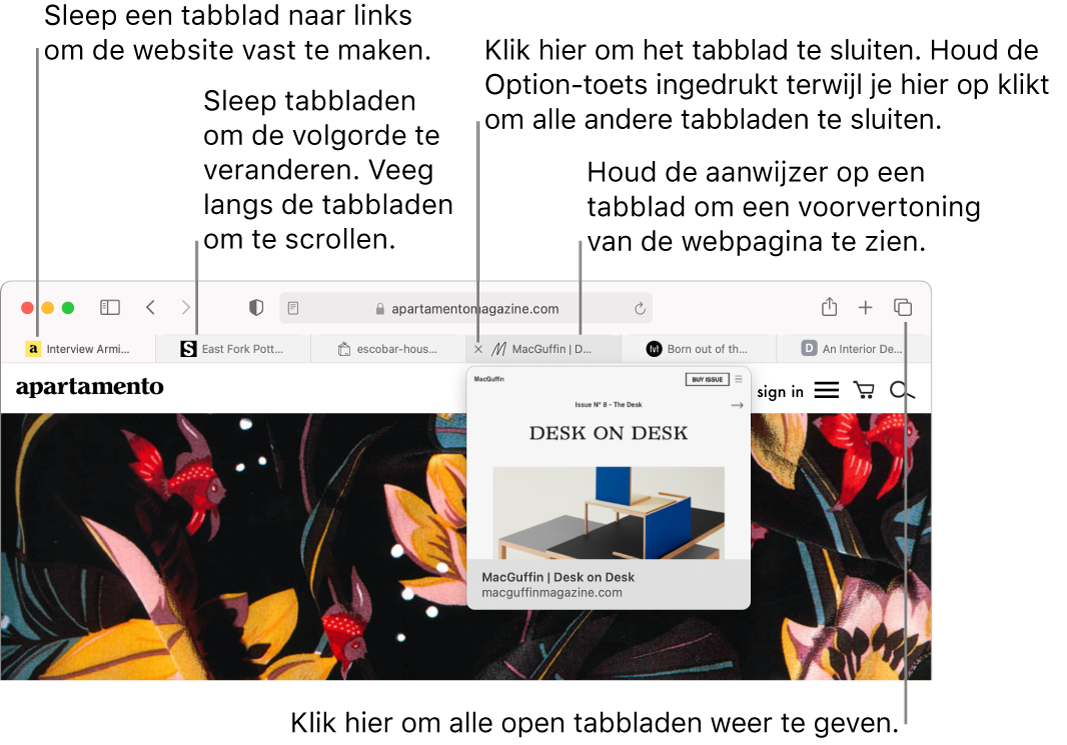 Het Safari-venster waarin verschillende tabbladen geopend zijn. De aanwijzer staat op een tab en er wordt een voorvertoning weergegeven van de webpagina op dat tabblad.