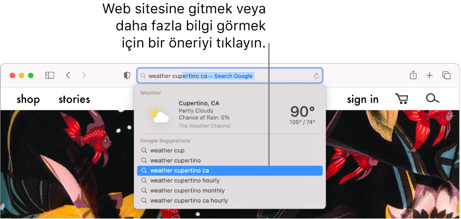 Mac Teki Safari Yi Kullanarak Aradiginizi Bulma Apple Destek