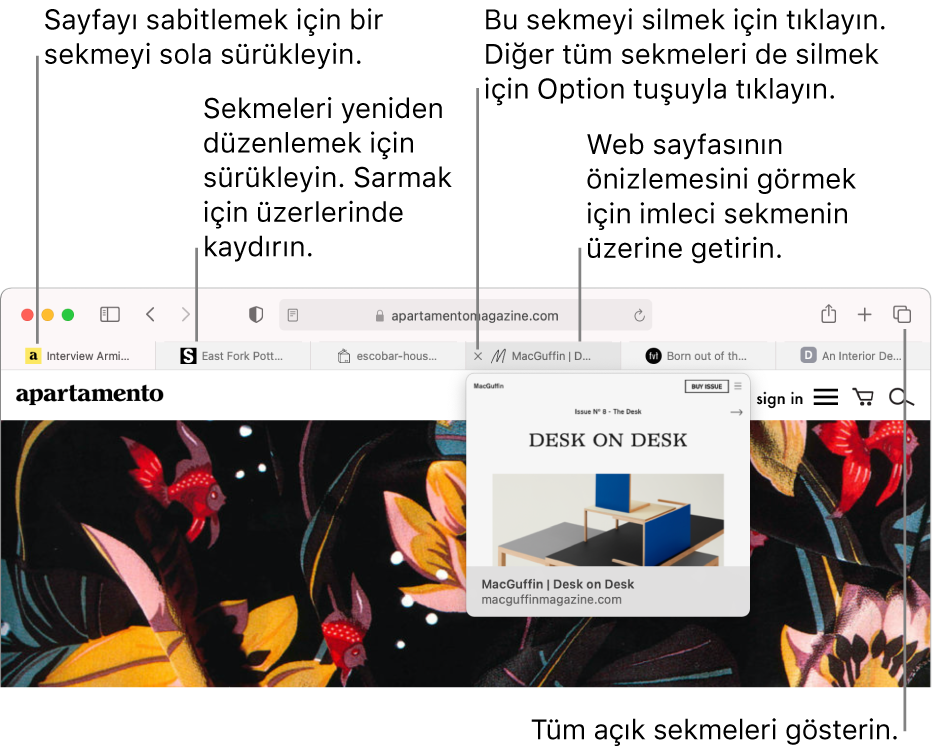 Mac Teki Safari De Web Sayfalari Icin Sekme Kullanma Apple Destek