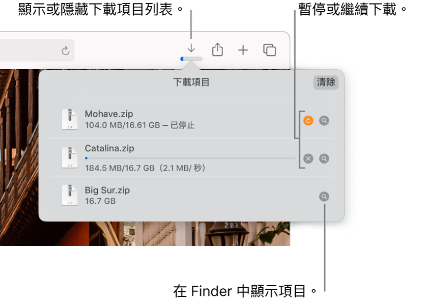 工具列中的「下載項目」按鈕,下方是下載項目列表。