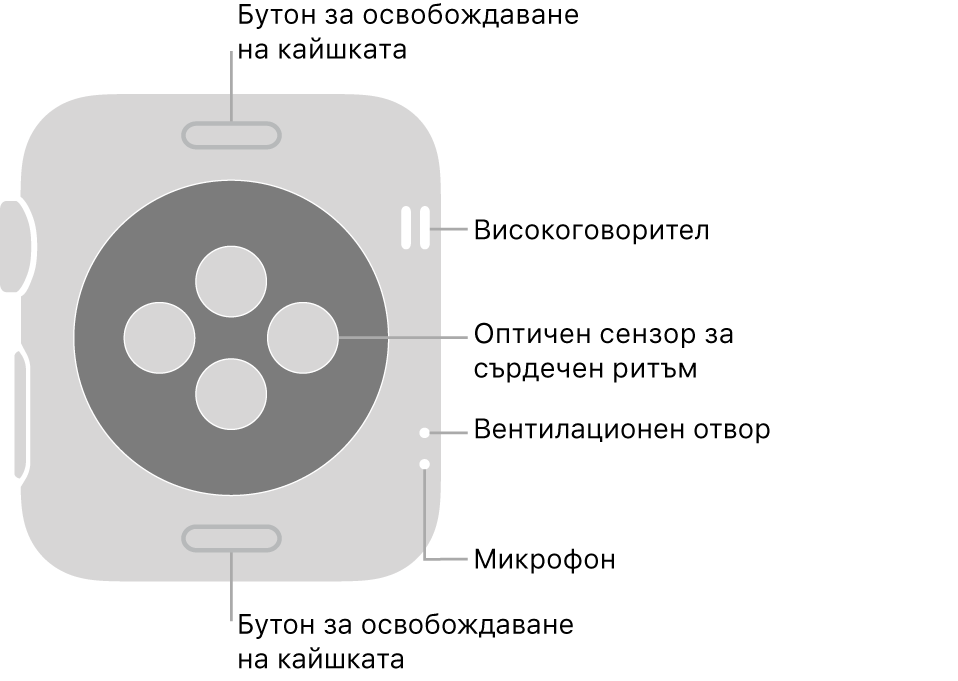 Задната страна на Apple Watch Series 3 с бутоните за освобождаване на каишката горе и долу, оптическите сензори за сърдечен ритъм в средата и от горе надолу, встрани - говорителя, въздушната клапа и микрофона.