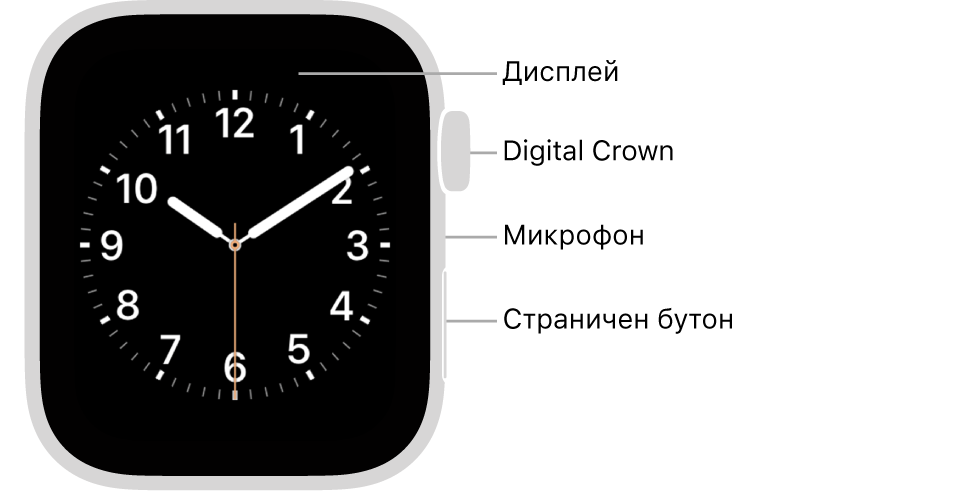 Предната страна на Apple Watch Series 6 с екран, показващ циферблат, и, от горе надолу, встрани от часовника коронката Digital Crown, микрофон и страничен бутон.