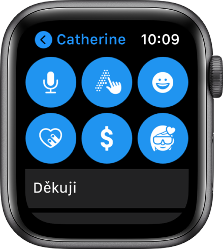 Obrazovka aplikace Zprávy, na které je vidět tlačítko Apple Pay spolu s tlačítky Diktovat, Rukopis, Emotikony, Digital Touch a Memoji