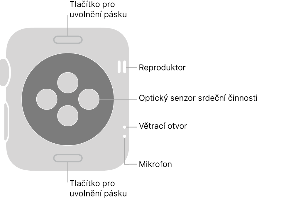Zadní strana hodinek Apple Watch Series 3: nahoře a dole jsou tlačítka pro uvolnění řemínku, uprostřed optická čidla srdeční činnosti a na boku je (shora dolů) reproduktor, větrací otvor a mikrofon.