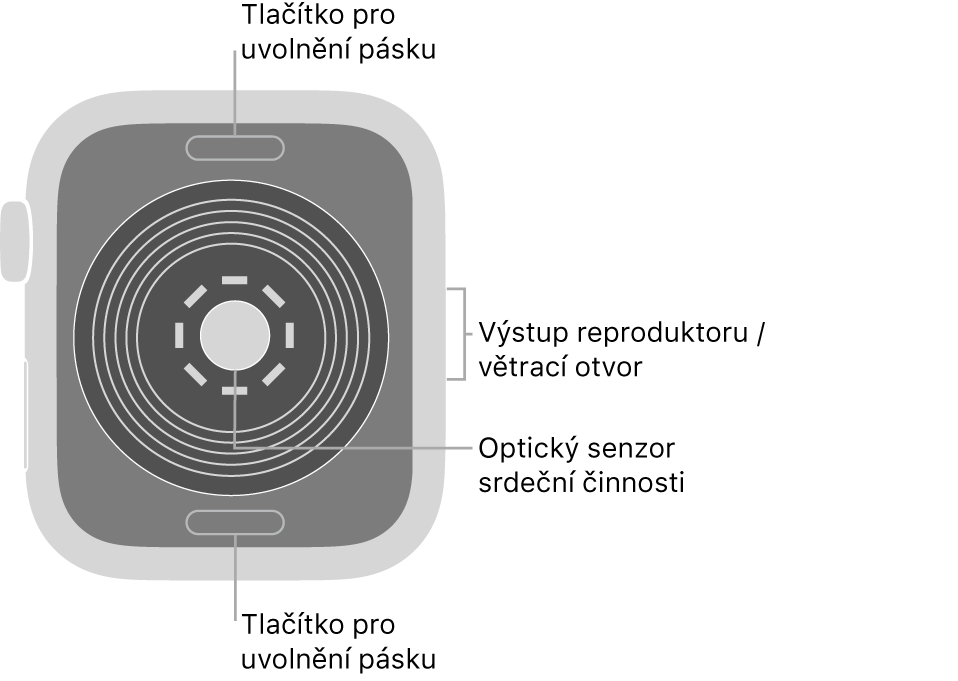 Zadní strana hodinek Apple Watch SE: nahoře a dole jsou tlačítka pro uvolnění řemínku, uprostřed optické čidlo srdeční činnosti a čidla pro měření hladiny kyslíku v krvi a na boku je reproduktor a větrací otvor.