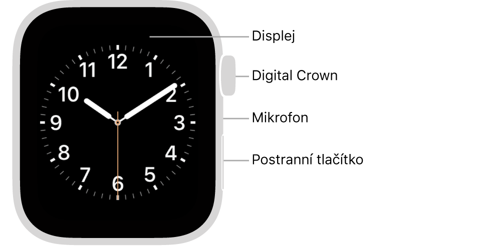 Přední strana hodinek Apple Watch Series 6: na displeji je zobrazen ciferník a na boku se shora dolů nachází korunka Digital Crown, mikrofon a postranní tlačítko.