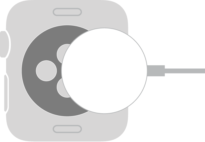 Das gewölbte Ende des magnetischen Apple Watch-Ladekabels rastet magnetisch am Gehäuseboden der Apple Watch ein.