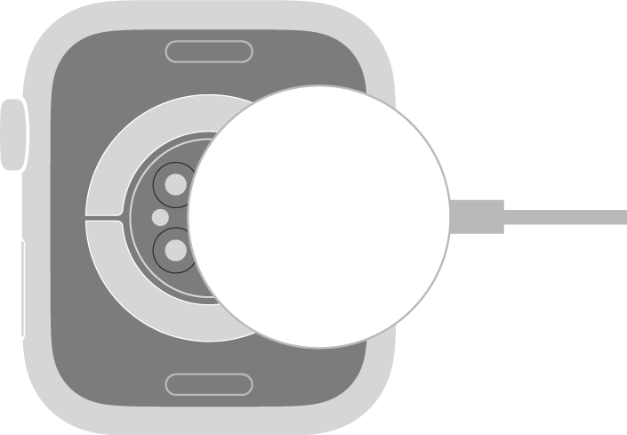Das gewölbte Ende des magnetischen Apple Watch-Ladekabels rastet magnetisch am Gehäuseboden der Apple Watch ein.