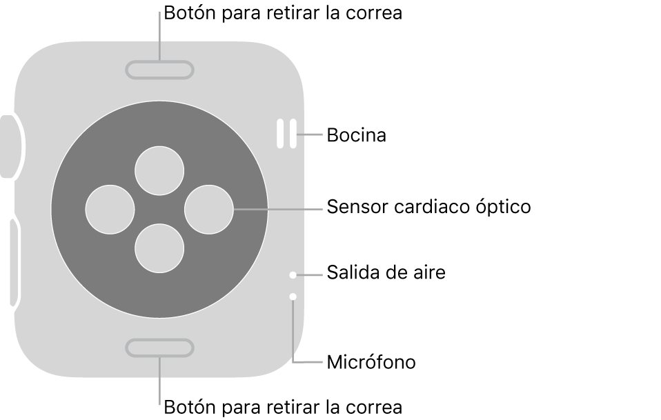 En el reverso del Apple Watch Series 3 se muestran los botones de liberación de correa en la parte superior e inferior; los sensores ópticos para medir la frecuencia cardíaca en el centro; y, en orden descendente, la bocina, la ranura de aire y el micrófono en un lado del reloj.