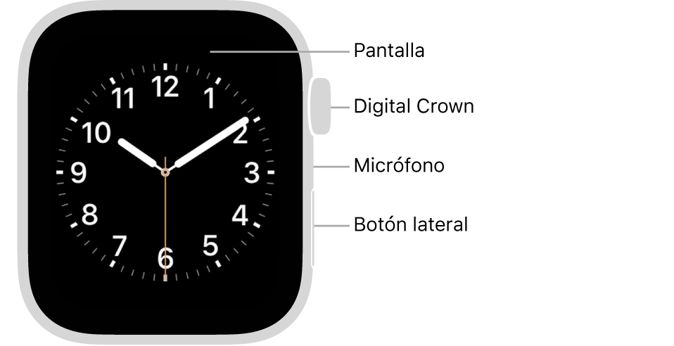 funciones apple watch 4