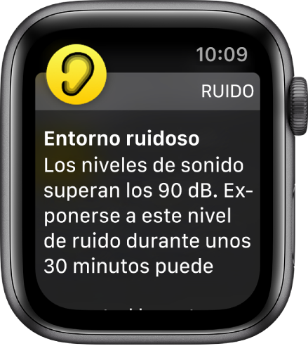 La pantalla Ruido con un nivel de decibelios de 100 dB. Debajo aparece una advertencia que avisa de una exposición demasiado prolongada a un volumen de sonido de este nivel.