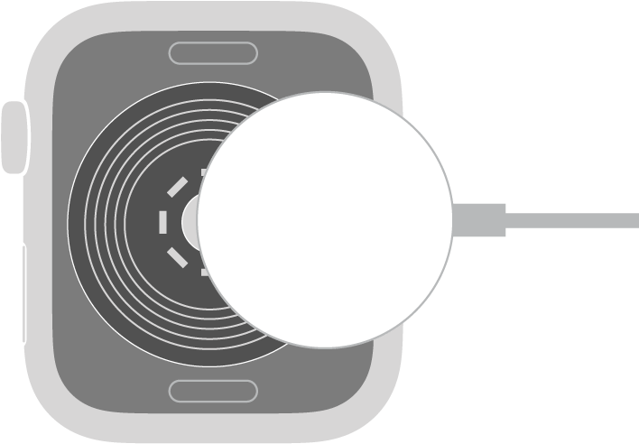 L’extrémité concave du câble de recharge magnétique de l’Apple Watch s’aimante au dos de l’Apple Watch.