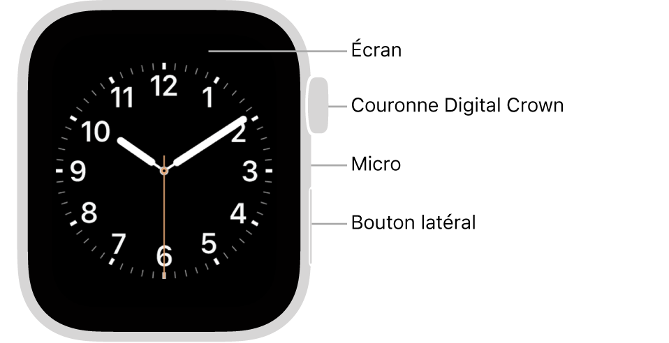 L’avant de l’Apple Watch Series 6, avec l’écran affichant le cadran, et sur le côté de la montre, de haut en bas, la Digital Crown, le micro et le bouton latéral.