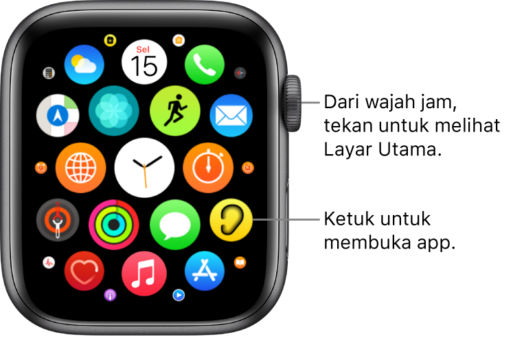 aplikasi apple watch
