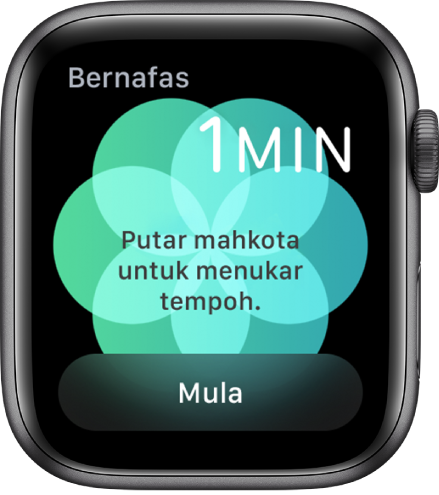 Skrin app Bernafas menunjukkan tempoh seminit di bahagian kanan atas dan butang Mula di bahagian bawah.