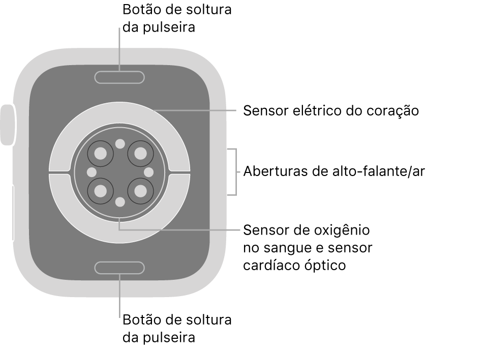 A parte traseira do Apple Watch Series 6, com os botões para soltar a pulseira na parte superior e inferior, os sensores elétricos cardíacos, os sensores ópticos cardíacos e os sensores de oxigênio no sangue no meio e alto-falante/saídas de ar na lateral.