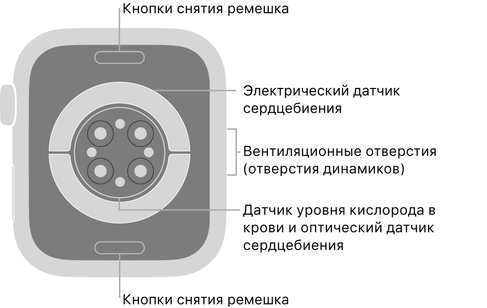 Как работает датчик освещенности apple watch